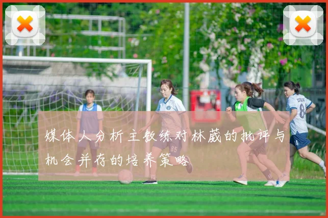 媒体人分析主教练对林葳的批评与机会并存的培养策略